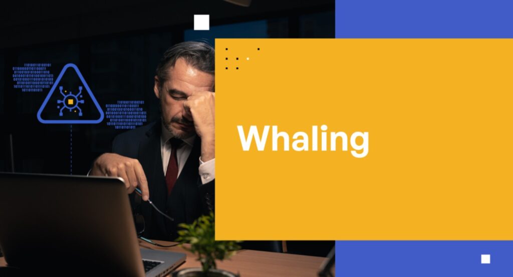 whaling ceo fraud