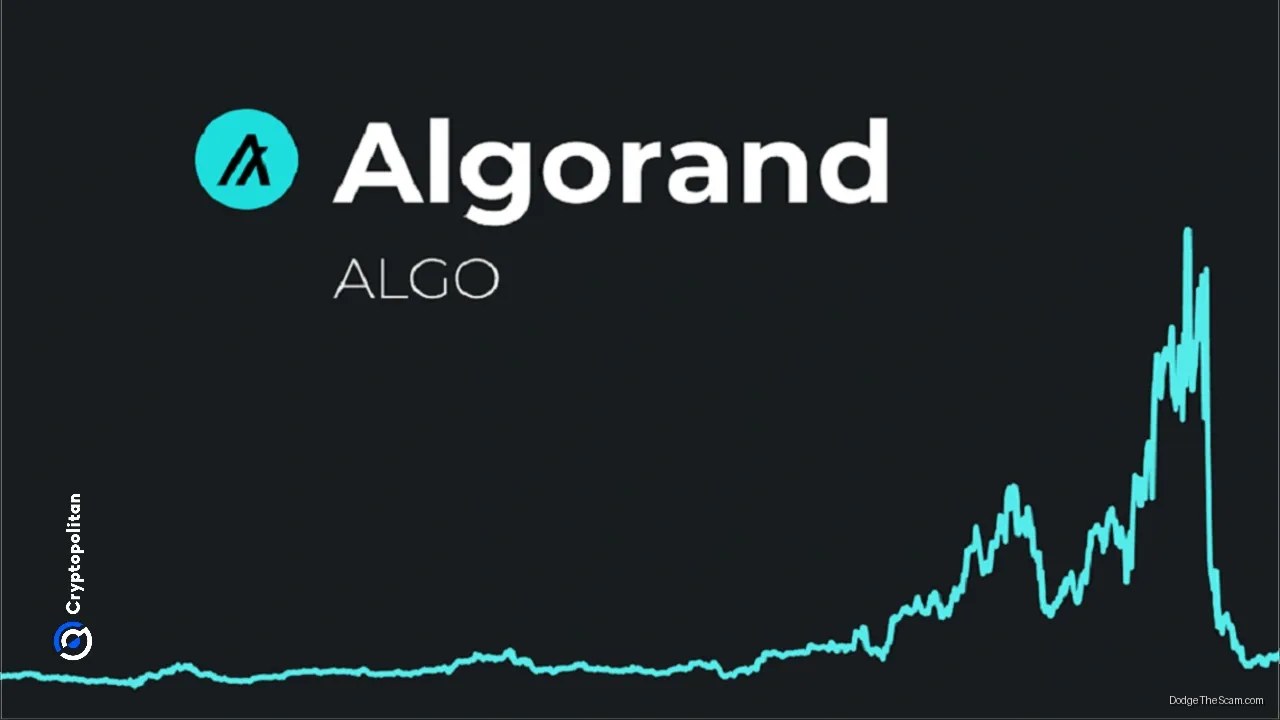 Algorand Compresses to 2026 Low as Volume Collapse Signals No Buyers — Bitcoin