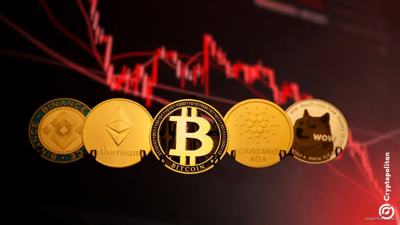 Altcoin Selling Hits 2022 Bear Market Peak as Holders Exit, Not Rotate — Bitcoin