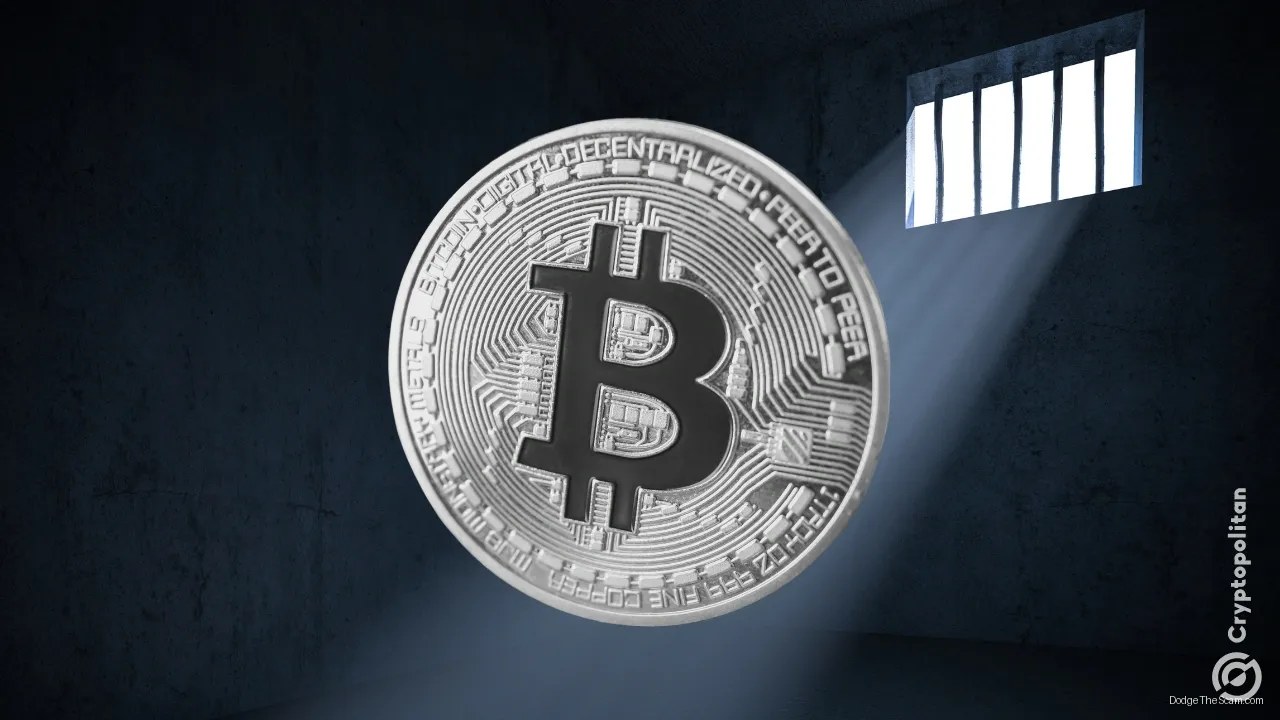 Bitcoin Rodney Pleads Guilty to $1.8B HyperFund Fraud, Faces Five Years Maximum — Bitcoin