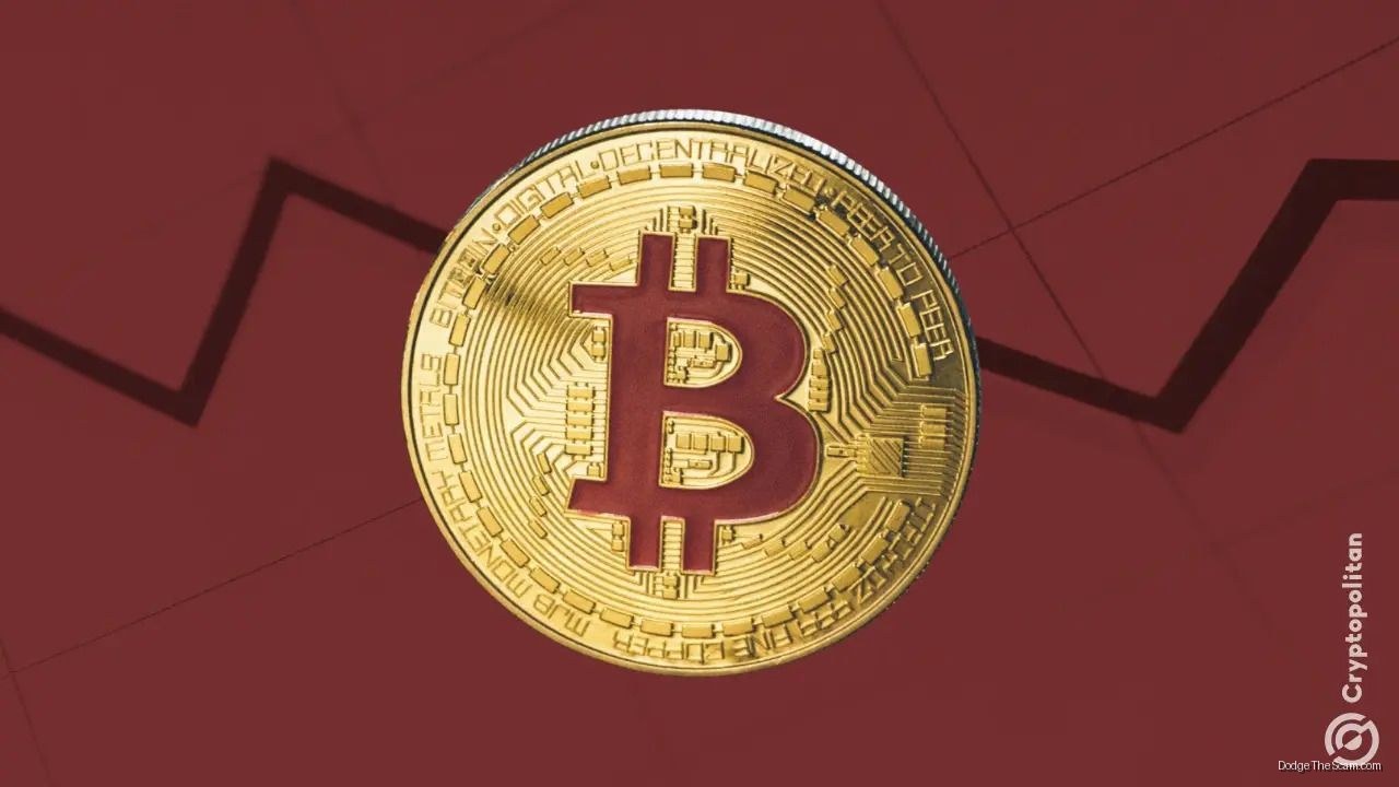 Bitcoin Supply In Loss Hits 51.6%, Fastest Drop Since FTX Collapse — Bitcoin