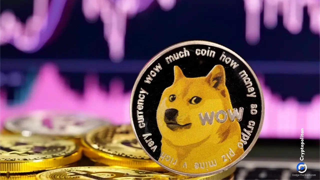 Dogecoin Breaks Below Moving Averages as Retail Interest Evaporates — DeFi