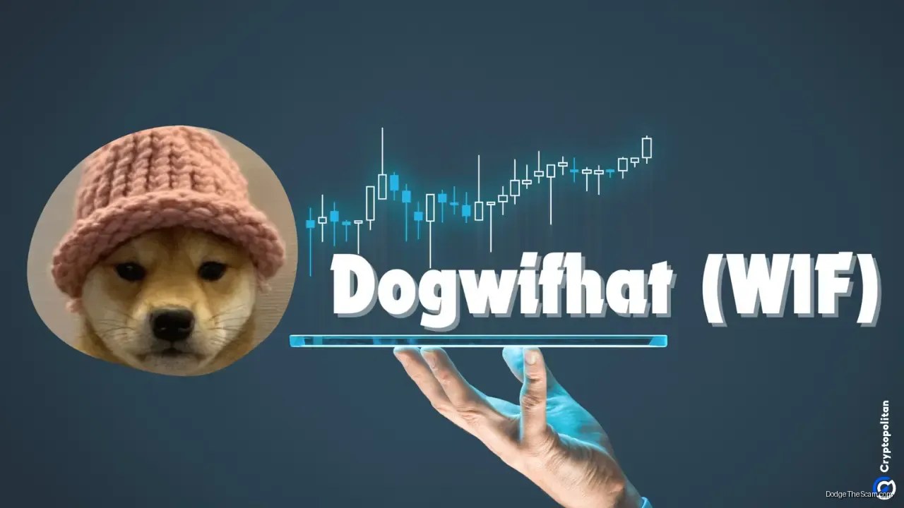 Dogwifhat Falls 97% From Peak as Solana Memecoin Cycle Unwinds — Stablecoins