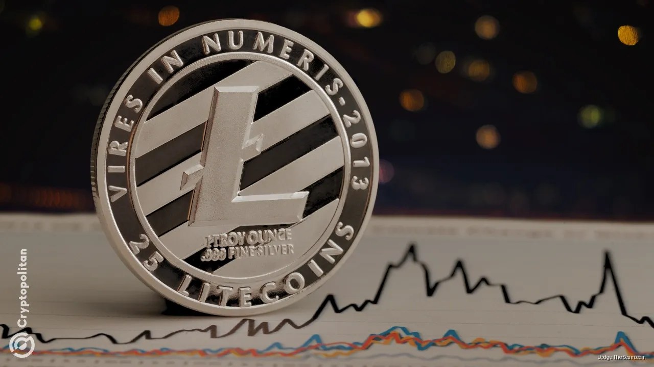 Litecoin Fails to Hold Post-Halving Highs for Fourth Consecutive Cycle — Bitcoin