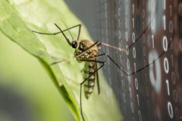 Photon Matrix Raises $2.7M for AI Mosquito Laser, Beats Indiegogo Goal by 130x — Stablecoins