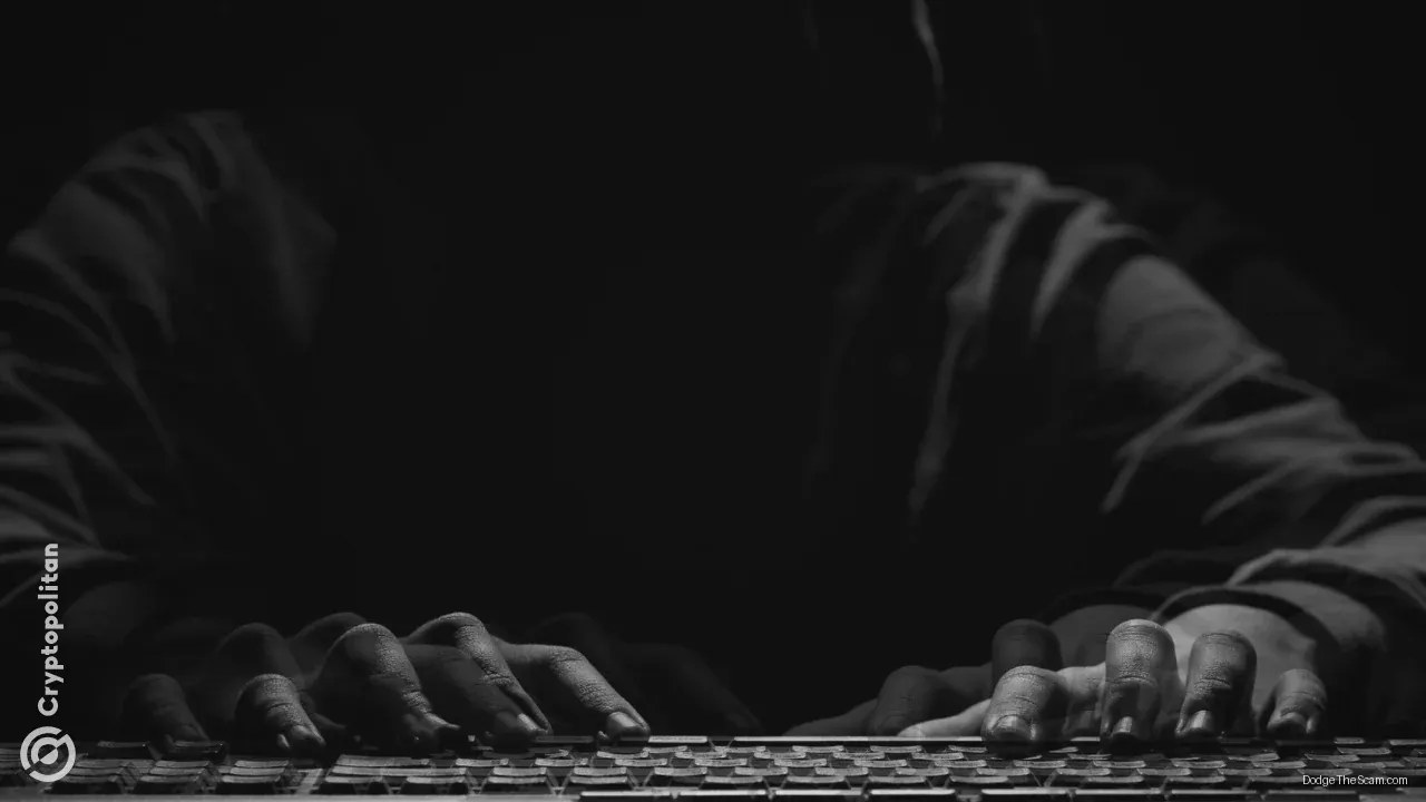 Pig Butchering Scams Cost More Than All Crypto Hacks in 2024 — Ethereum
