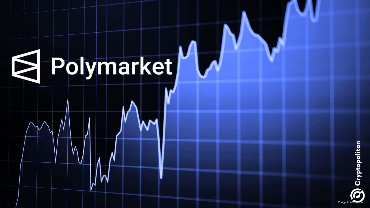 Polymarket Posts Record Day on World Cup Hype, But May Showed Real Decline — Stablecoins