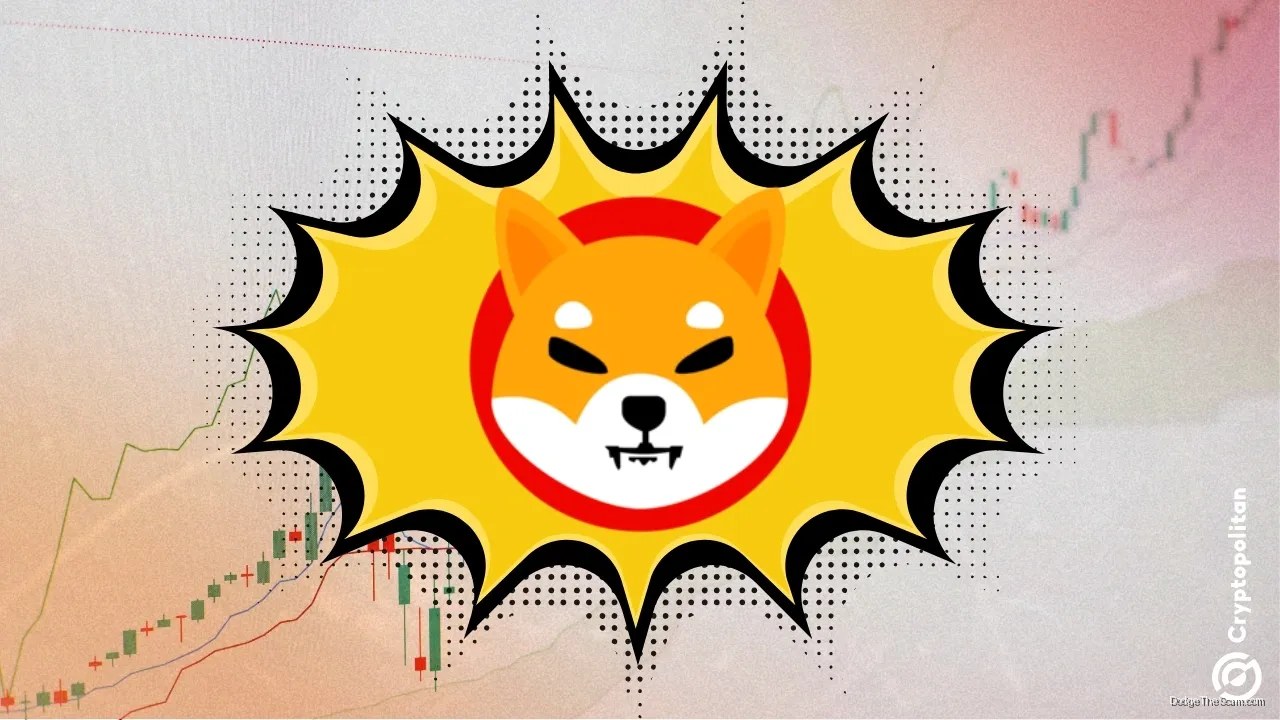 Shib Trades 94% Below Peak as Bitcoin Dominance Squeezes Meme Coins — Bitcoin