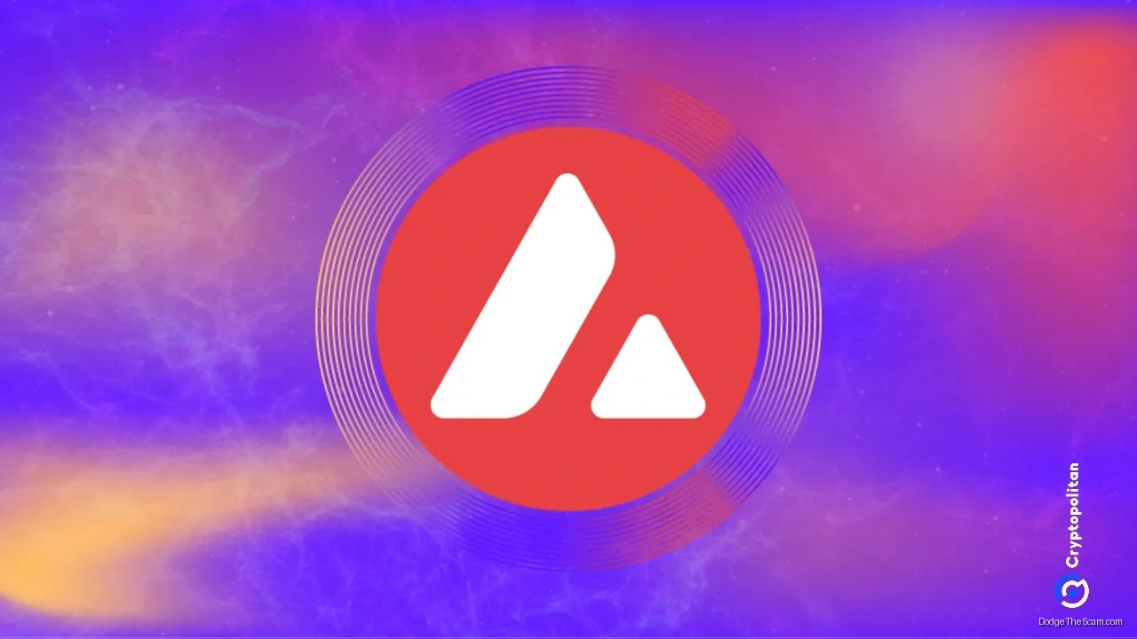 Visa Adds Avalanche to Settlement Network as AVAX Falls 31% in a Month — Ethereum