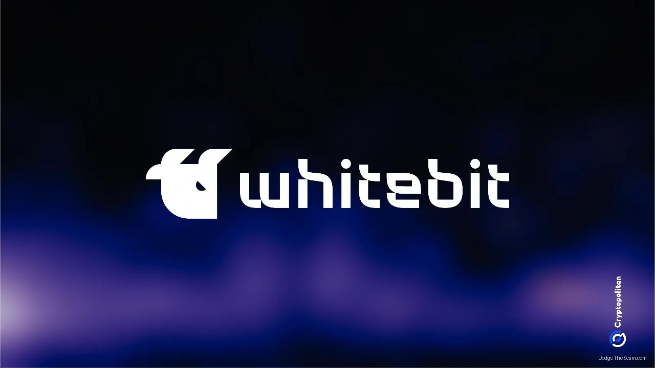 WhiteBIT Gains EU Market Share as Binance and Tether Miss MiCA Deadline — Bitcoin