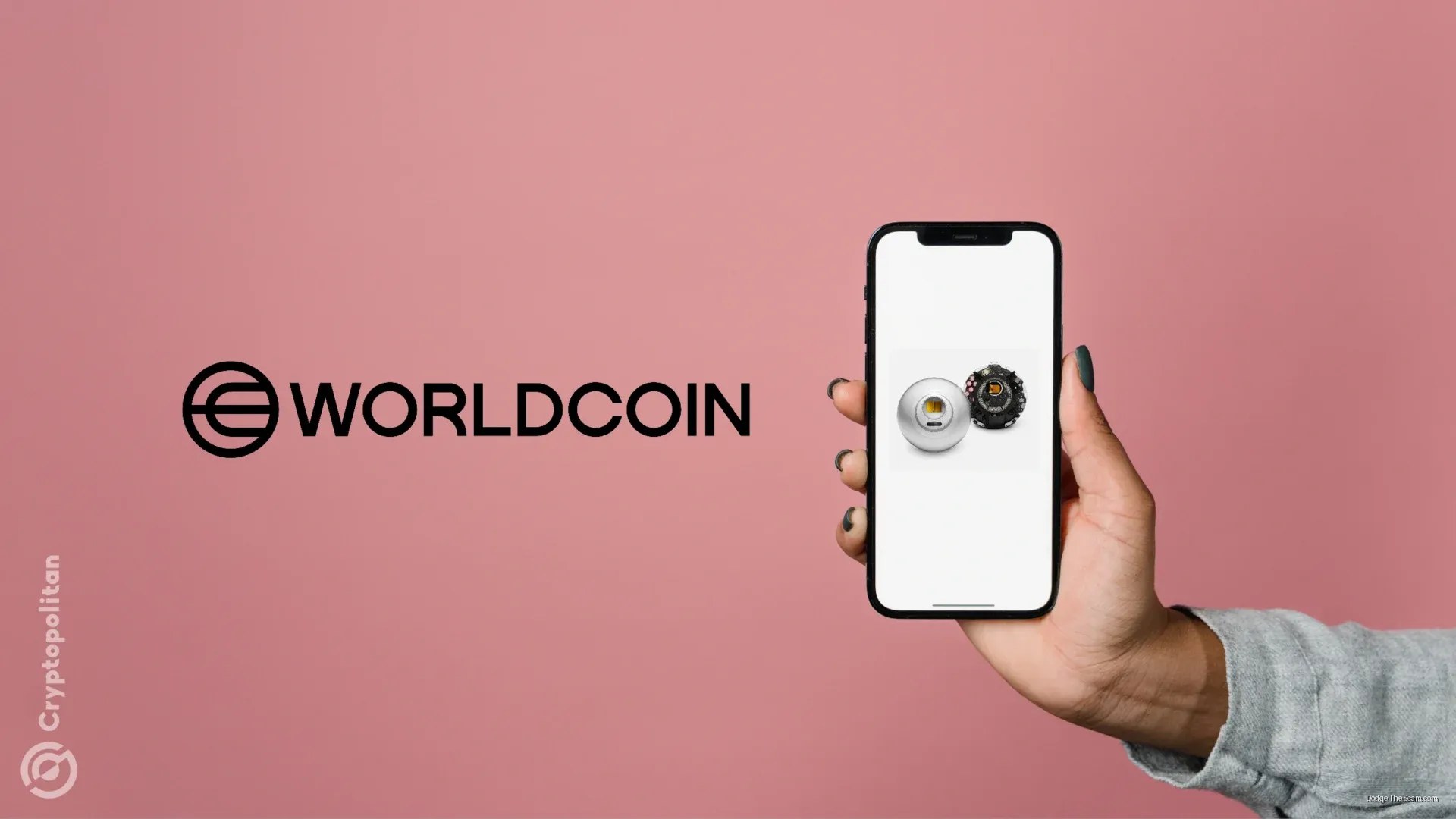 Worldcoin Becomes Treasury Reserve as WLD Drops 96% From Peak — Stablecoins