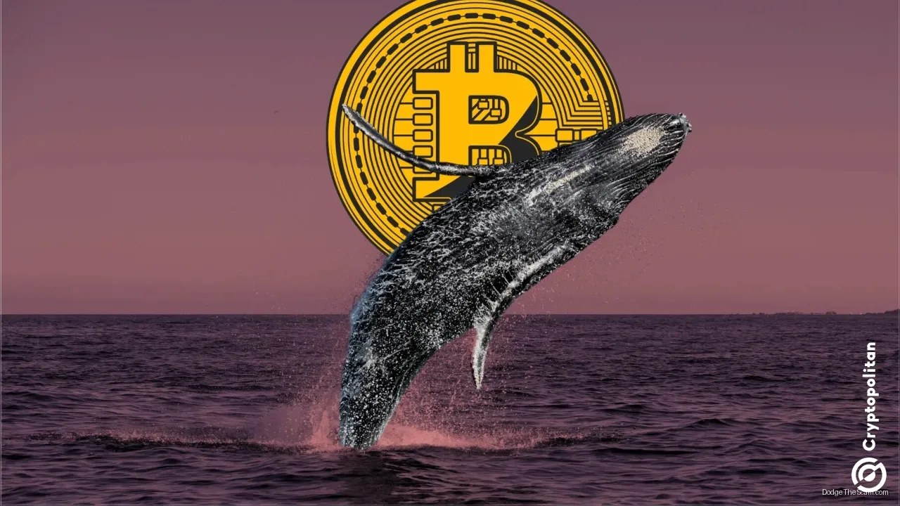 Bitcoin Whales Exit as ETF Outflows Hit Record $4.51B in June — Bitcoin