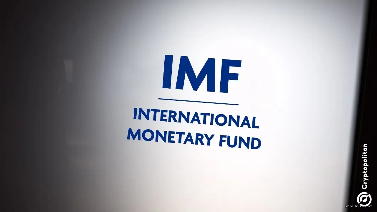 IMF Warns Tokenization Removes Safety Buffers Regulators Built for Decades — DeFi
