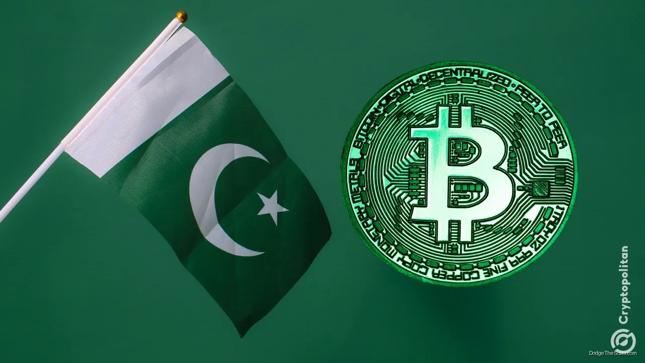 Pakistan Crypto Regulator Clashes With Top Islamic Scholar Over Stablecoin Ban — Stablecoins