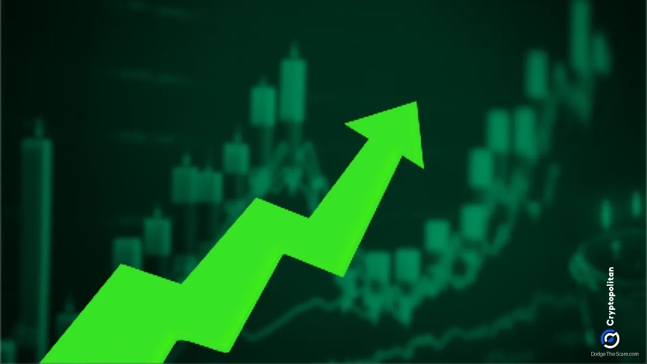 Robinhood Co-founder's Leaked Wallet Used to Pump $1 Memecoin to $14M — Bitcoin